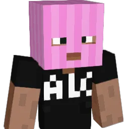 Borys2115 Minecraft avatar bust