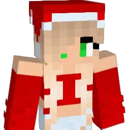BotNinja2020's Minecraft skin