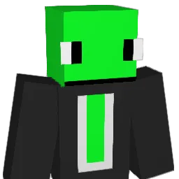 BotherteamNI2 Minecraft avatar bust