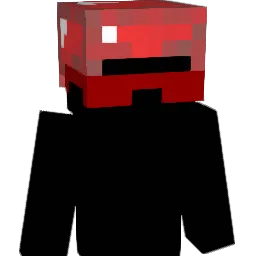 Botskippie Minecraft avatar bust