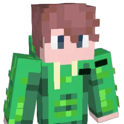 Bowa2007 Minecraft avatar bust