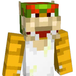 Bowseeer