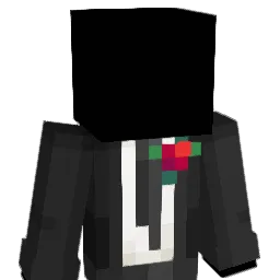 Bra1nwave Minecraft avatar bust