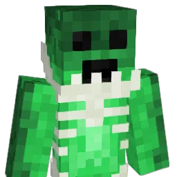 Braaibroodjie's Minecraft skin