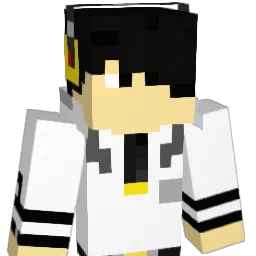 BradleyEinstein Minecraft avatar bust