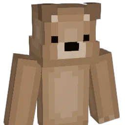 Braiiden Minecraft avatar bust