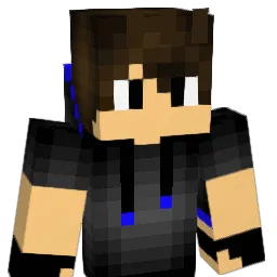 Braim5286 Minecraft avatar bust