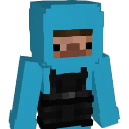 BranFR Minecraft avatar bust