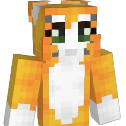 BrandonHopkins