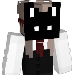 BranquinhaaeeC Minecraft avatar bust