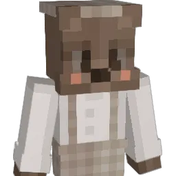 Braski67 Minecraft avatar bust