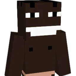 BrauchKindergeld Minecraft avatar bust