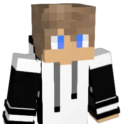 Braundna Minecraft avatar bust