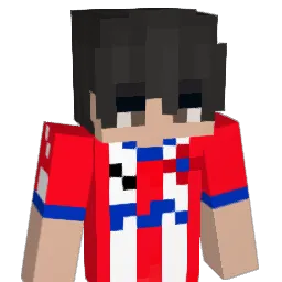 BravexYT Minecraft avatar bust