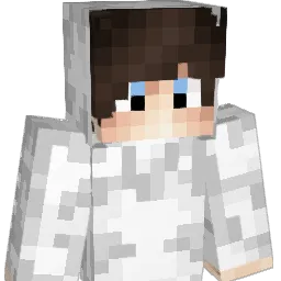 BraxJo Minecraft avatar bust