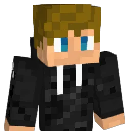 Brayden9111 Minecraft avatar bust