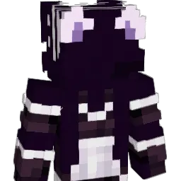 BraydenZinsli Minecraft avatar bust