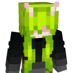 BreadRawr Minecraft avatar bust