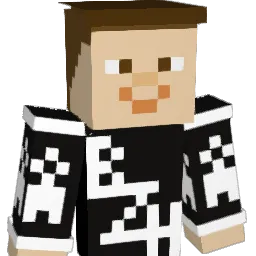 BreiZHnight22 Minecraft avatar bust