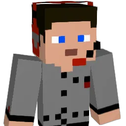 Brian201125 Minecraft avatar bust