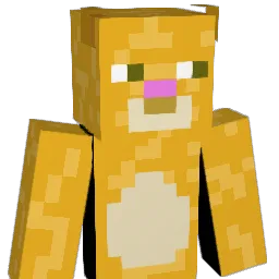 BriePak's Minecraft skin