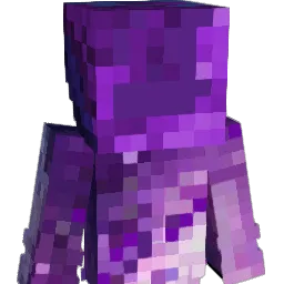 BrightNight_08 Minecraft avatar bust