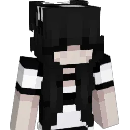 BringBackElytra's Minecraft skin