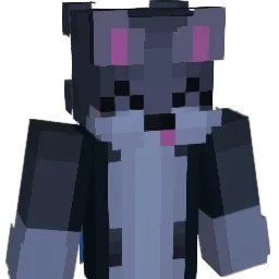 Bro_Gamer_1 Minecraft avatar bust