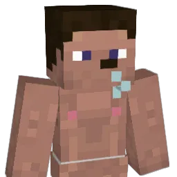 Brody148 Minecraft avatar bust