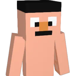 Brohlin05 Minecraft avatar bust