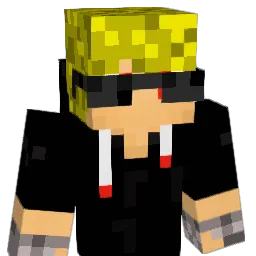 BrokenHacks Minecraft avatar bust