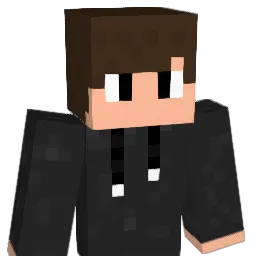 Brook_awp Minecraft avatar bust