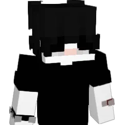 Brqxnt_ Minecraft avatar bust