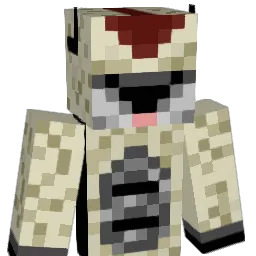 Bruggy123 Minecraft avatar bust