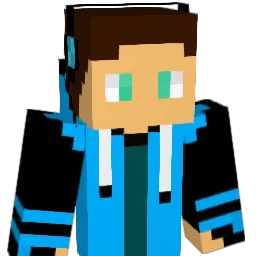 Bruhfin01 Minecraft avatar bust