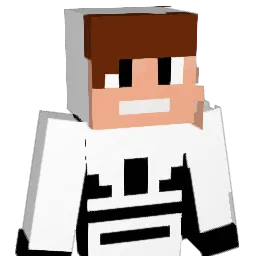 Bryanzinn81 Minecraft avatar bust