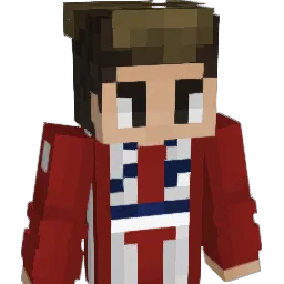 Brychcy53 Minecraft avatar bust