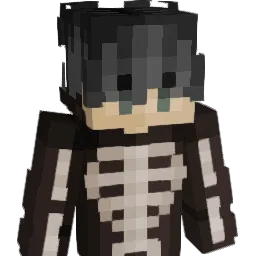 BubbleWubble916 Minecraft avatar bust