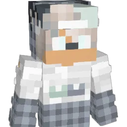 BuddySky29