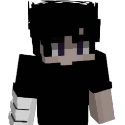 BudgetComb50658 Minecraft avatar bust