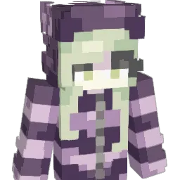 Bugkid_ Minecraft avatar bust