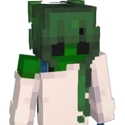 Burgermaster17 Minecraft avatar bust