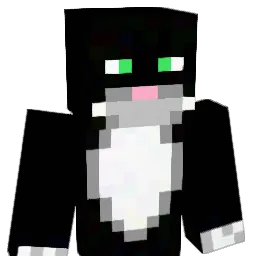 Burgleson Minecraft avatar bust