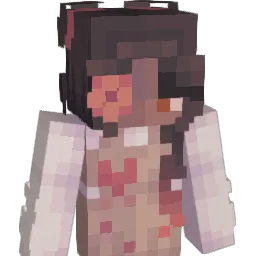 Burntkoast Minecraft avatar bust