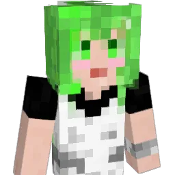 Burpopo Minecraft avatar bust