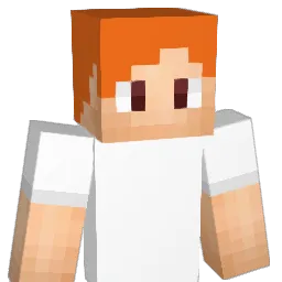 Buscus31 Minecraft avatar bust