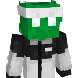 BushMC_ Minecraft avatar bust