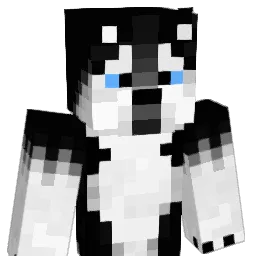 Bushdid9_11 Minecraft avatar bust