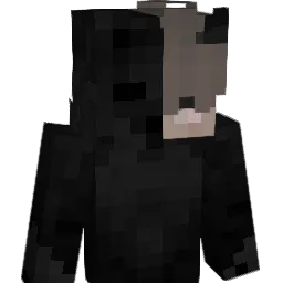 Busshard