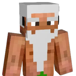 Butchers_Hook Minecraft avatar bust
